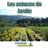 Astuces du mois