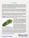 Cure Tinnitus