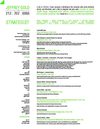 Jeffrey Gold's Marketing Communications & Strategy Resume (2010)