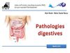 Les pathologies digestives
