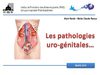Les pathologies uro-génitales