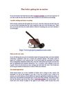Plan before getting into an auction