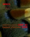 CDDP 93 : Rapport d'activité 2006