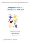 Programaciones Didácticas 3er Ciclo(Nuevo)
