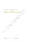 Muscle, myographie