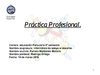 Pràctica Profesional