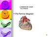La anatomia del corazón