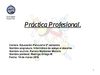 trabajo practica profesional