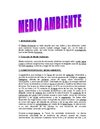 MEDIO AMBIENTE