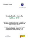Dossier de presse Fleur d'Or 2010 Ville de Grande-Synthe