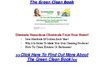 Green Clean Book Review