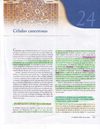 El_mundo_de_la_Célula_"Capitulo_XXIV,_Células_cancerosas."