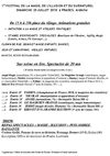 FESTIVAL MAGIE
