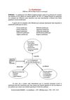 Vue systémique de la Qualité
