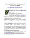 Marijuana Side Effects - Consequences of Smoking Marijuana