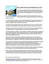 Why Joint Ventures Are the Best Way To Go
