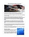 Solar Cells to Become More Efficient And Economical