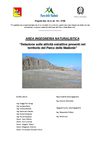 Relazione riassuntiva cave