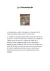 La Contaminación