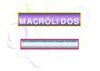 Clase 12 - Macrólidos