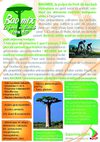 Baomix, pulpe de fruit de baobab biologique
