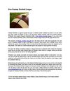 Free Fantasy Football League
