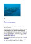 Walhai Tiere Animals Natur SelMcKenzie Selzer-McKenzie