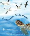 Descubriendo desde el mar