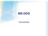 MS-DOS