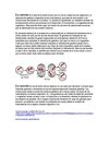 Diferencias de Mitosis y Meiosis