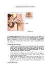 ARTICULACIÓN DE LA CADERA
