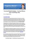 Cervical Fluid Ovulation - Cervical Mucus and Conceiving a Boy