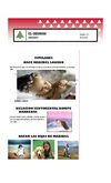 PERIODICO PROYECTO DE VIDA