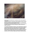 prueba