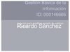 Gestión Básica de la Información
