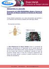 Newsletter nº 4. Julio 2009. Prevención Riesgos Laborales G. Interlab