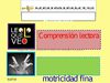  PRESENTACION COMPRENSION LECTORA
