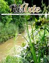 Revista Cultural RíoArte, Año 01, Vol. 04, Octubre-Noviembre 2009
