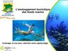 Tourisme durable - Aménagement fonds marins