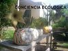 el jardin del reciclaje organico e inorganico power point