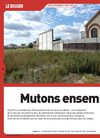 dossier ivry ma ville sdip - Octobre 2007