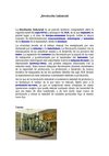 LA REVOLUCION INDUSTRIAL