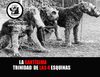Revista La Santísima Trinidad número 18 Edición mayo del 2010.