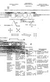 III MODULO(2º)