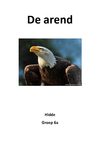 Werkstuk Hidde - Arend