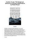 Gusher of Lies The Dangerous Delusions of Energy Independence by Robert Bryce - Great Book!!