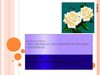 diferencias excel 2003, 2007