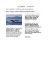 Diario Ecológico 6ºD: Valentina Núñez / Matías Doggenweiler / Fernando Soza / Matías Toro / Simón Lastra