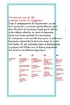 Lyon Confluence-présentation du projet