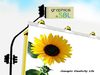 Image Editing | Graphics Designing | Animation | Website designing | Panorama creation